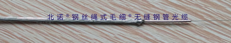 北诺®钢丝绳式毛细®无缝钢管铠装光纤跳线(02型)所用光缆结构 北诺®钢丝绳式毛细®无缝钢管铠装光纤跳线(02型)所用光缆结构