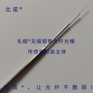 北诺800摄氏度毛细无缝钢管单端光纤光栅传感器（02H型）主体结构