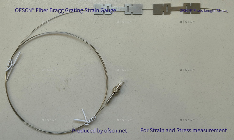 OFSCN Strain Gauge 01