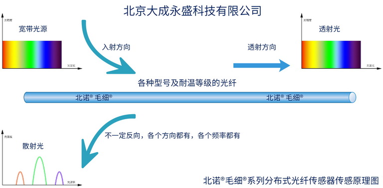 分布式光纤传感原理示意图